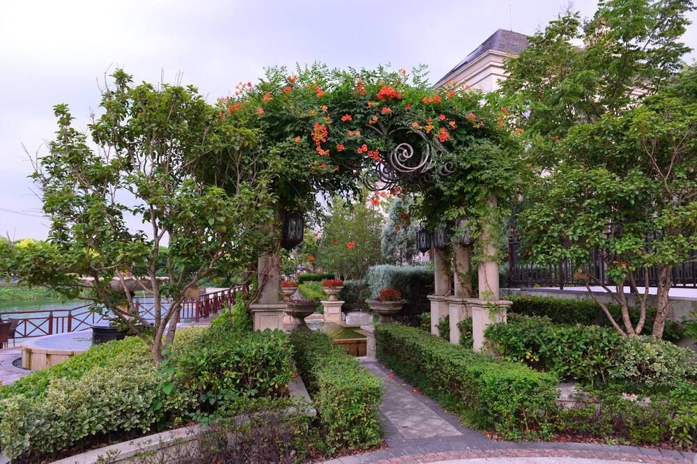 Outdoor view