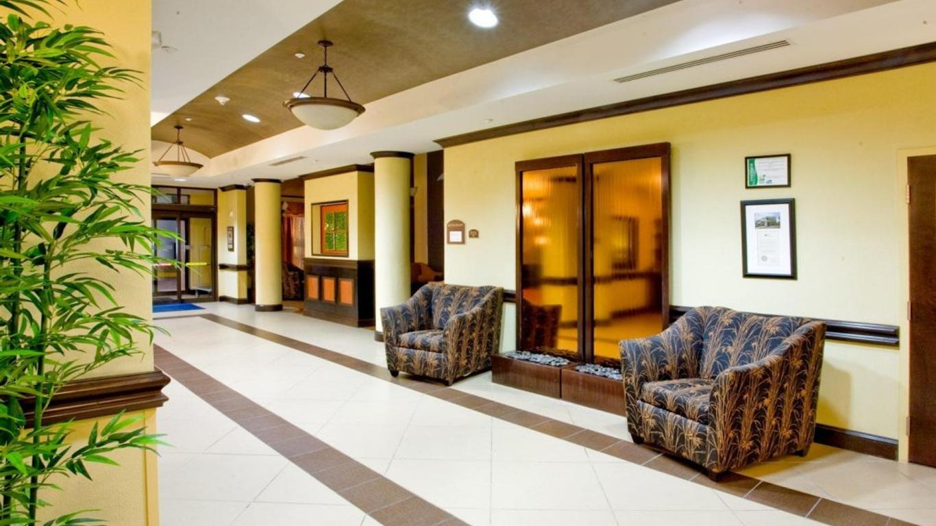 Holiday Inn Express & Suites Tampa -Usf-Busch Gardens