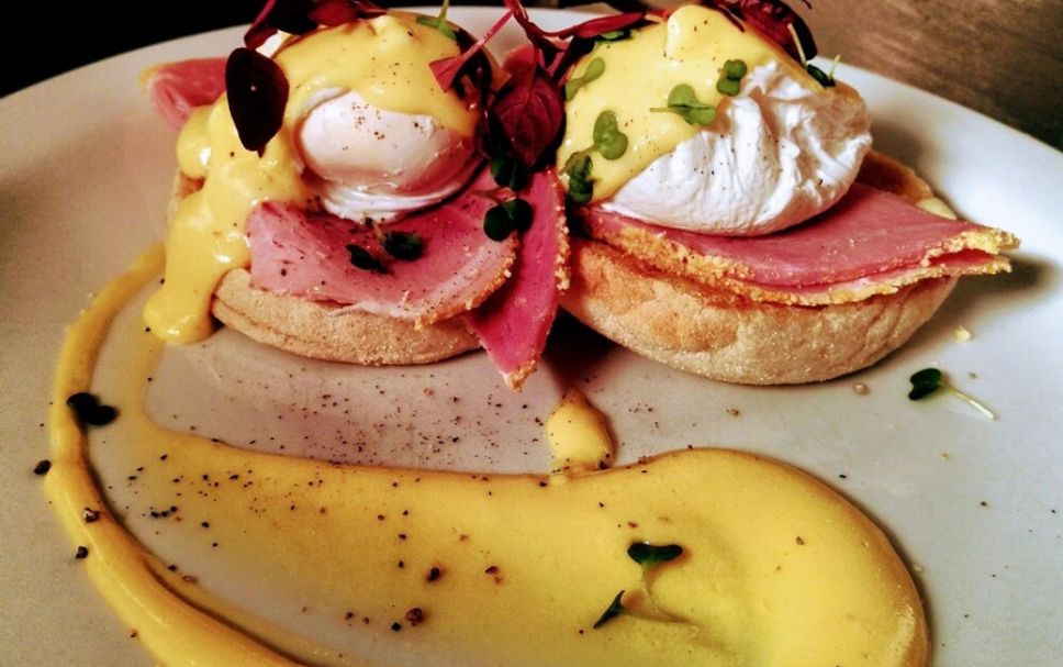 Food Photo