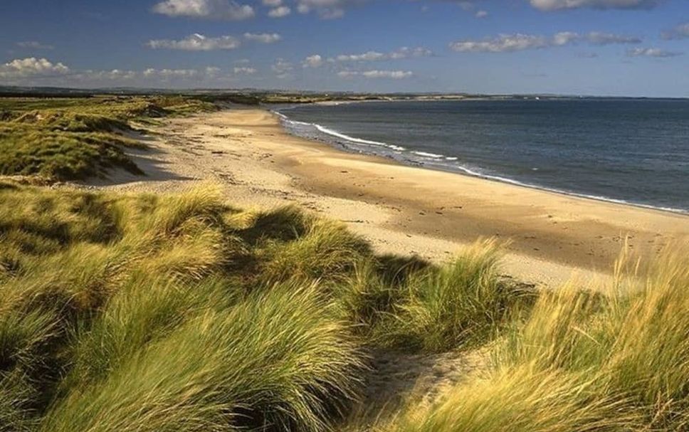 Beach Photo