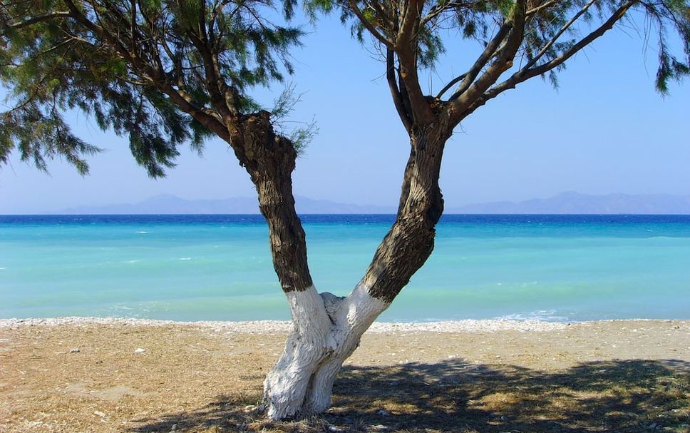 Beach Photo