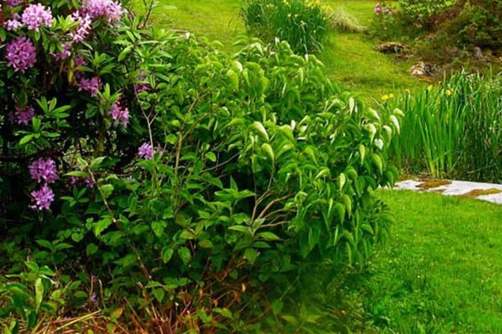 Outdoor view