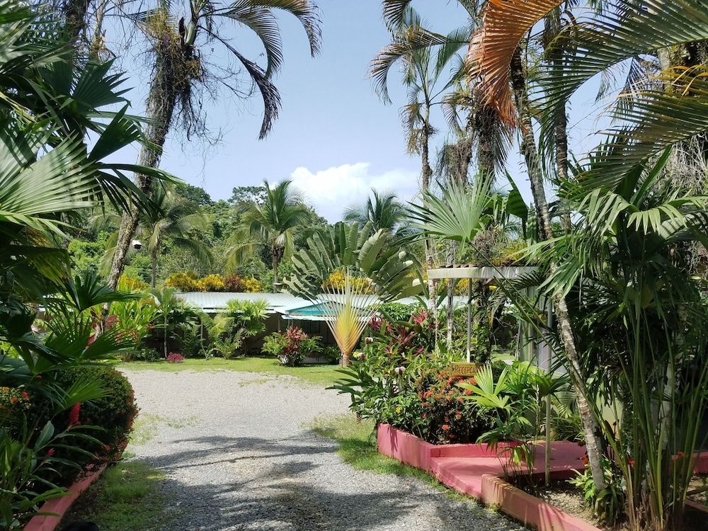 Outdoor view