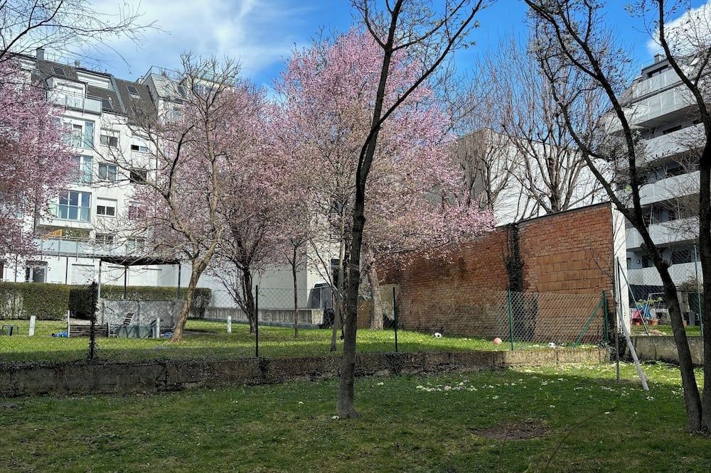 Outdoor view