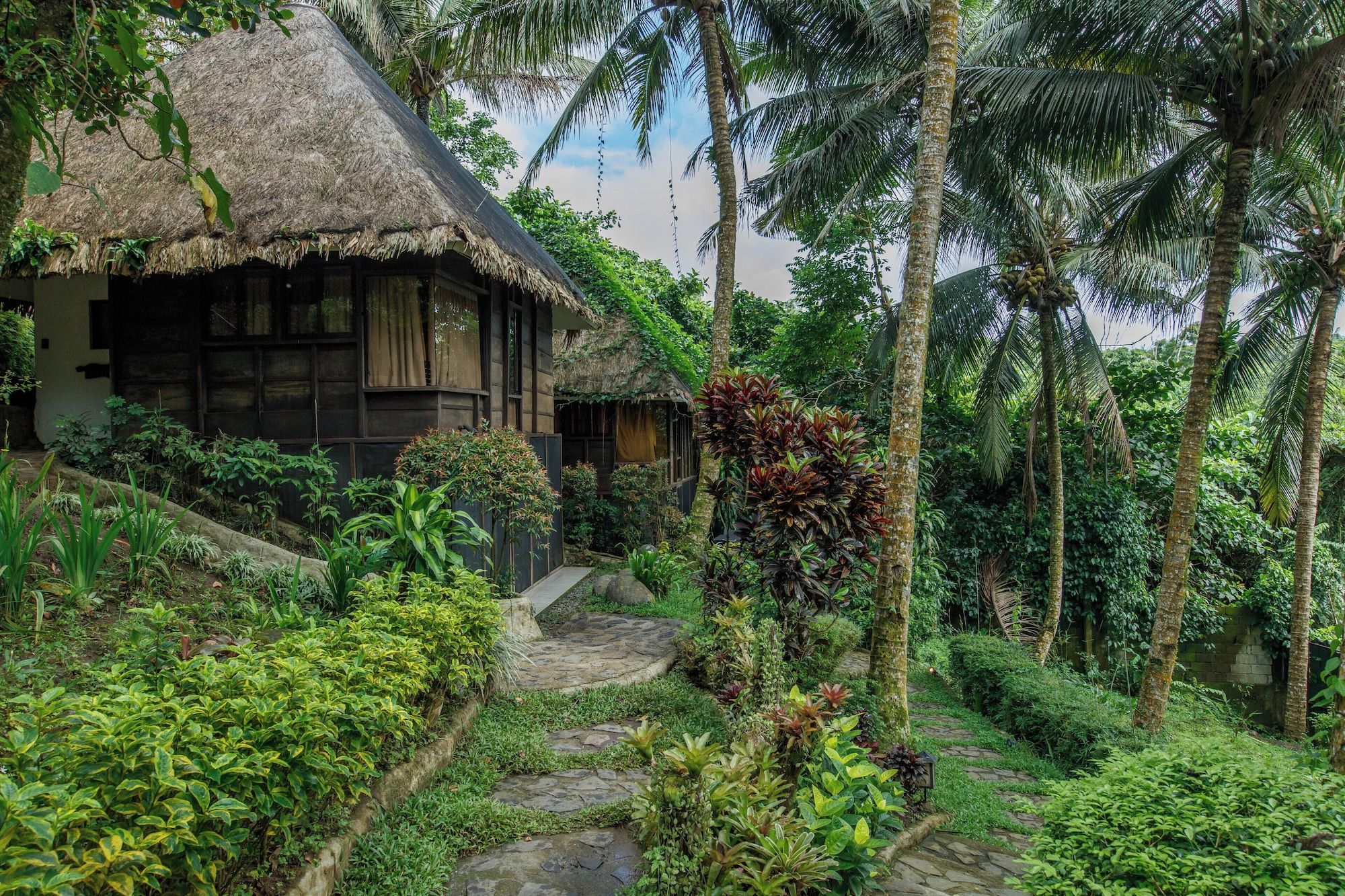 Outdoor view