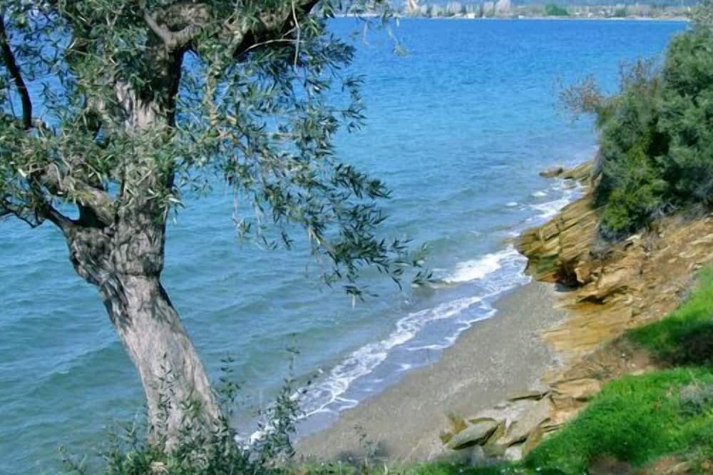 Outdoor view