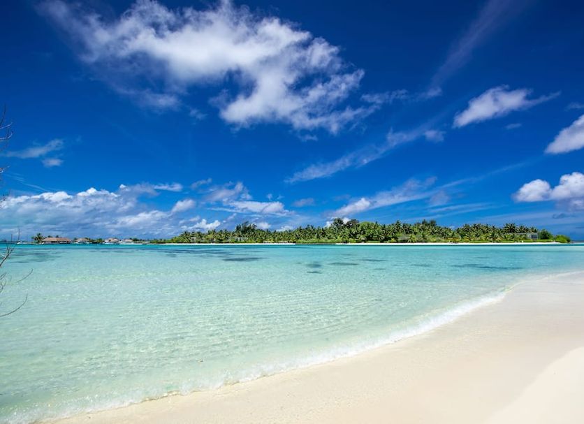 Beach Photo