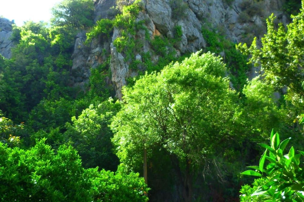 Outdoor view