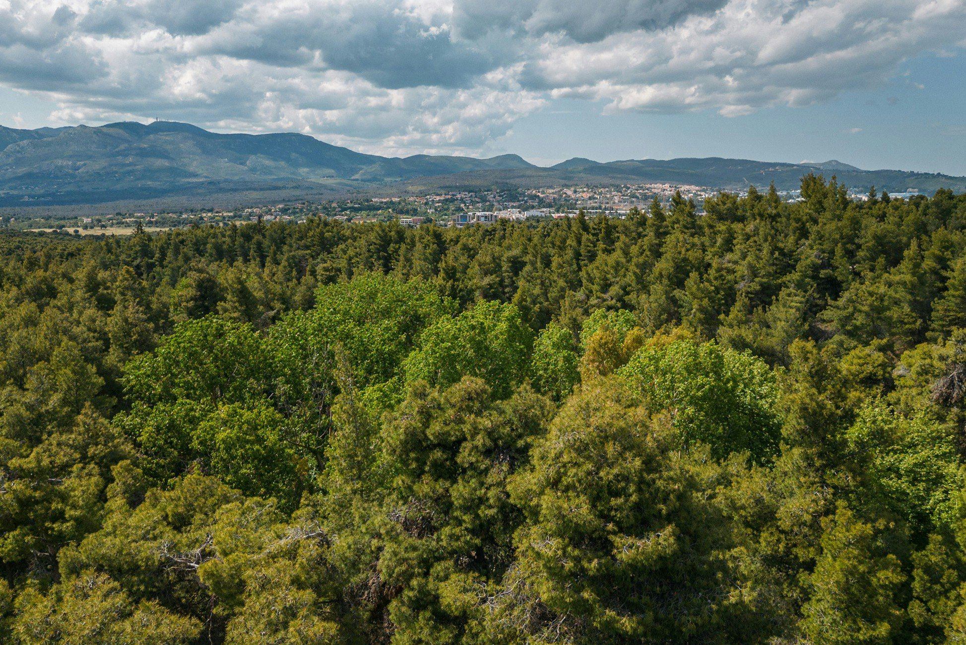 Outdoor view