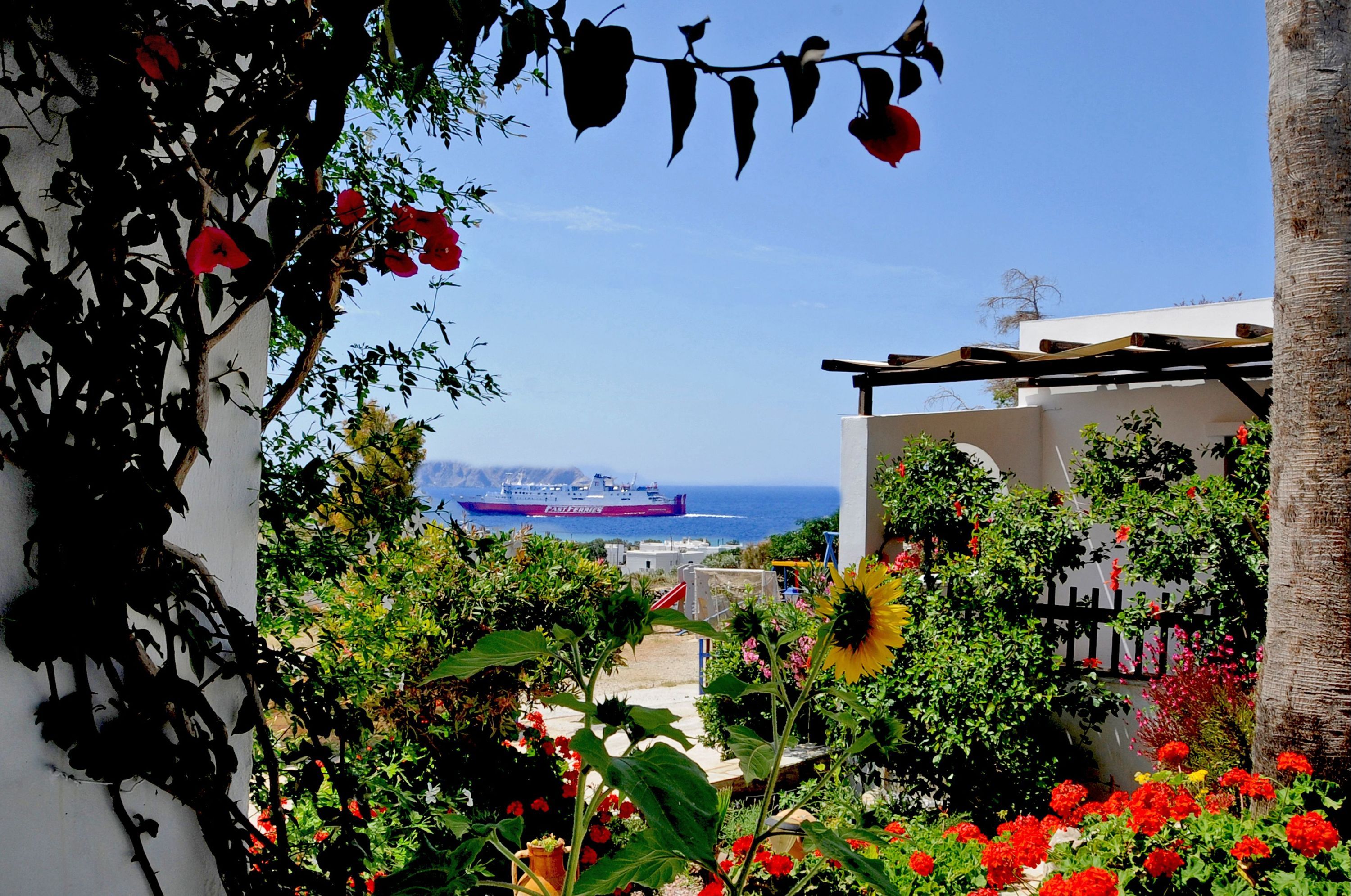 Outdoor view