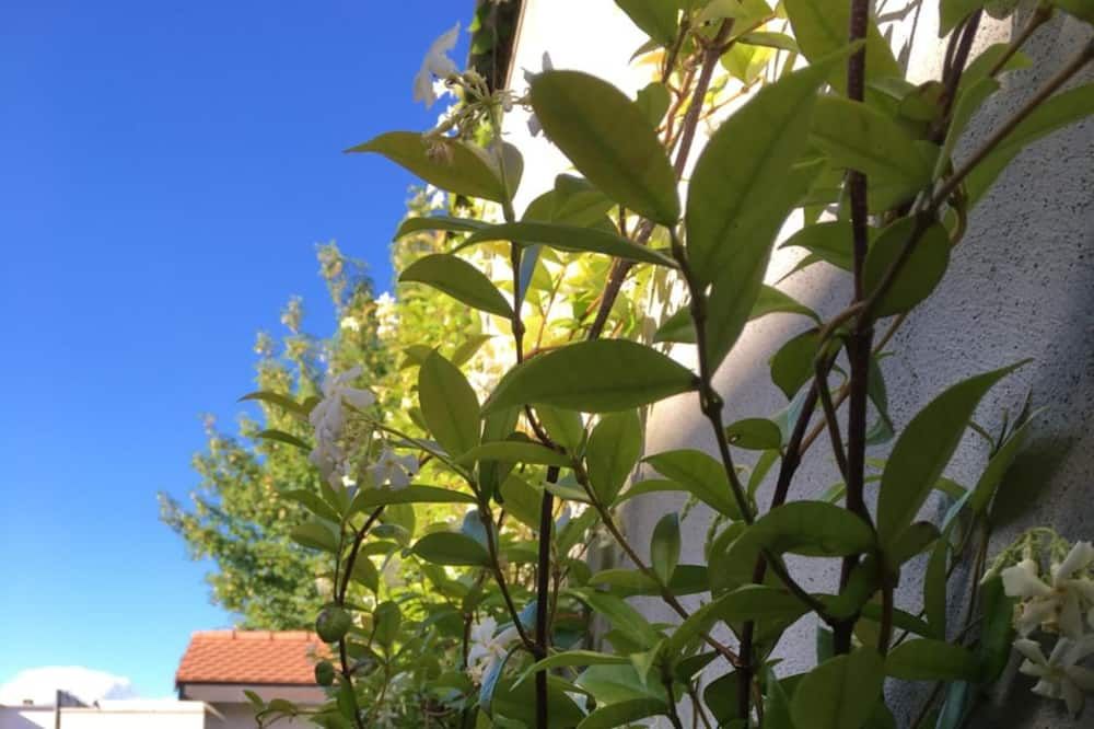 Outdoor view