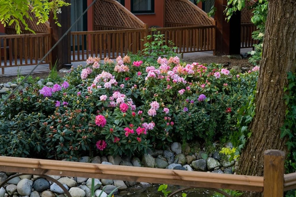 Outdoor view