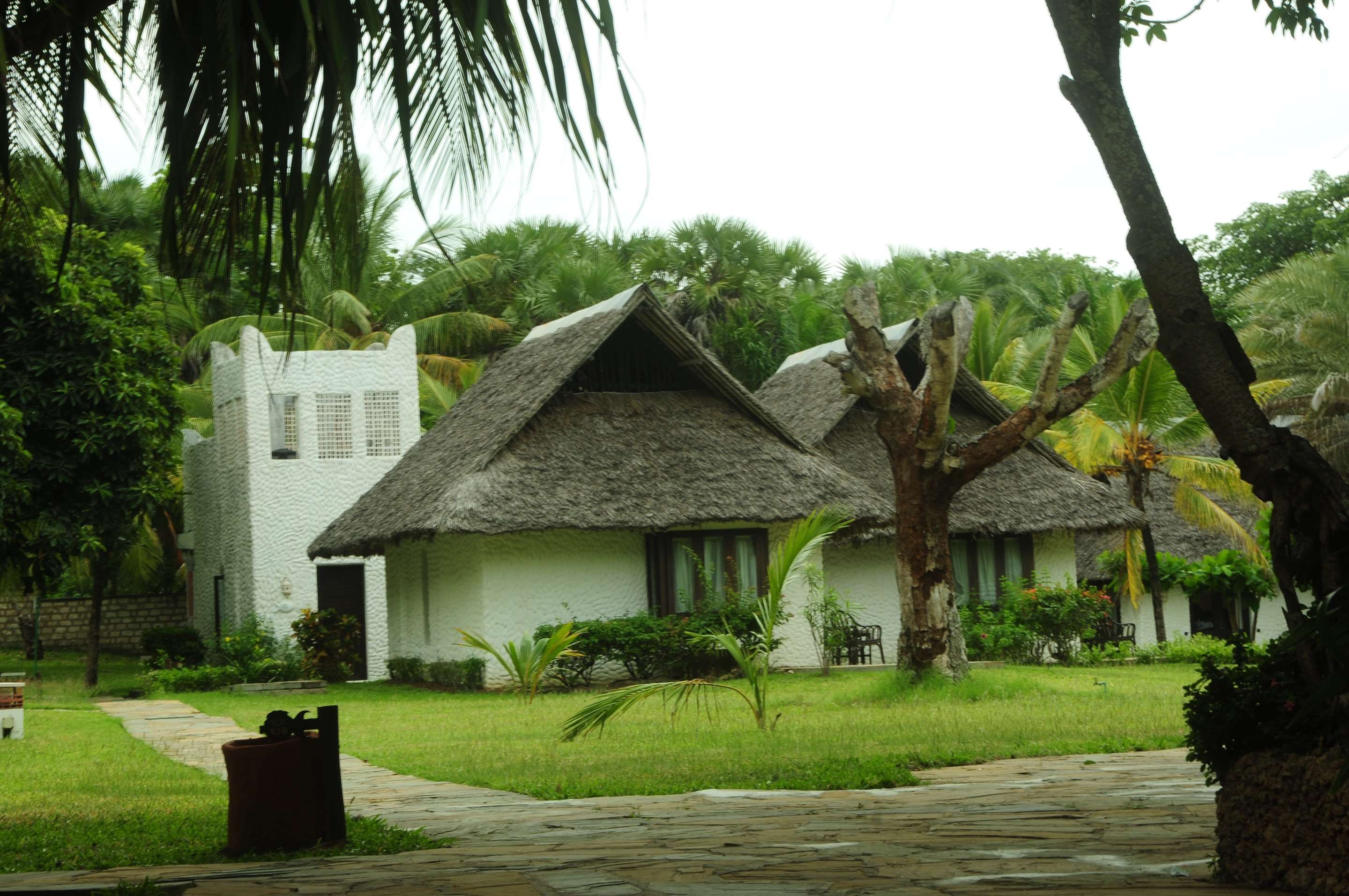 Outdoor view