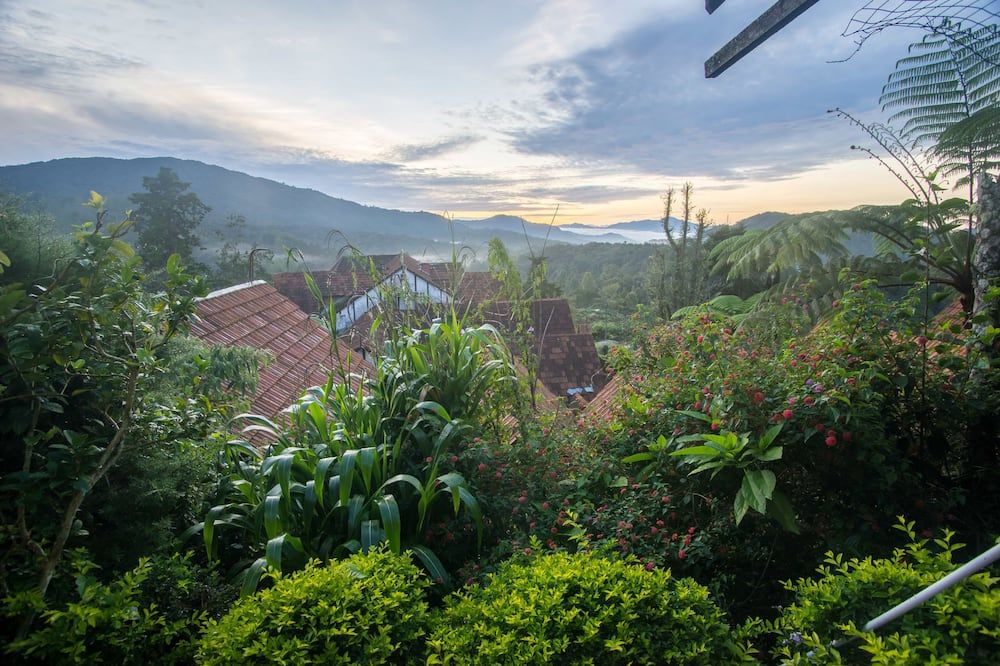 Outdoor view