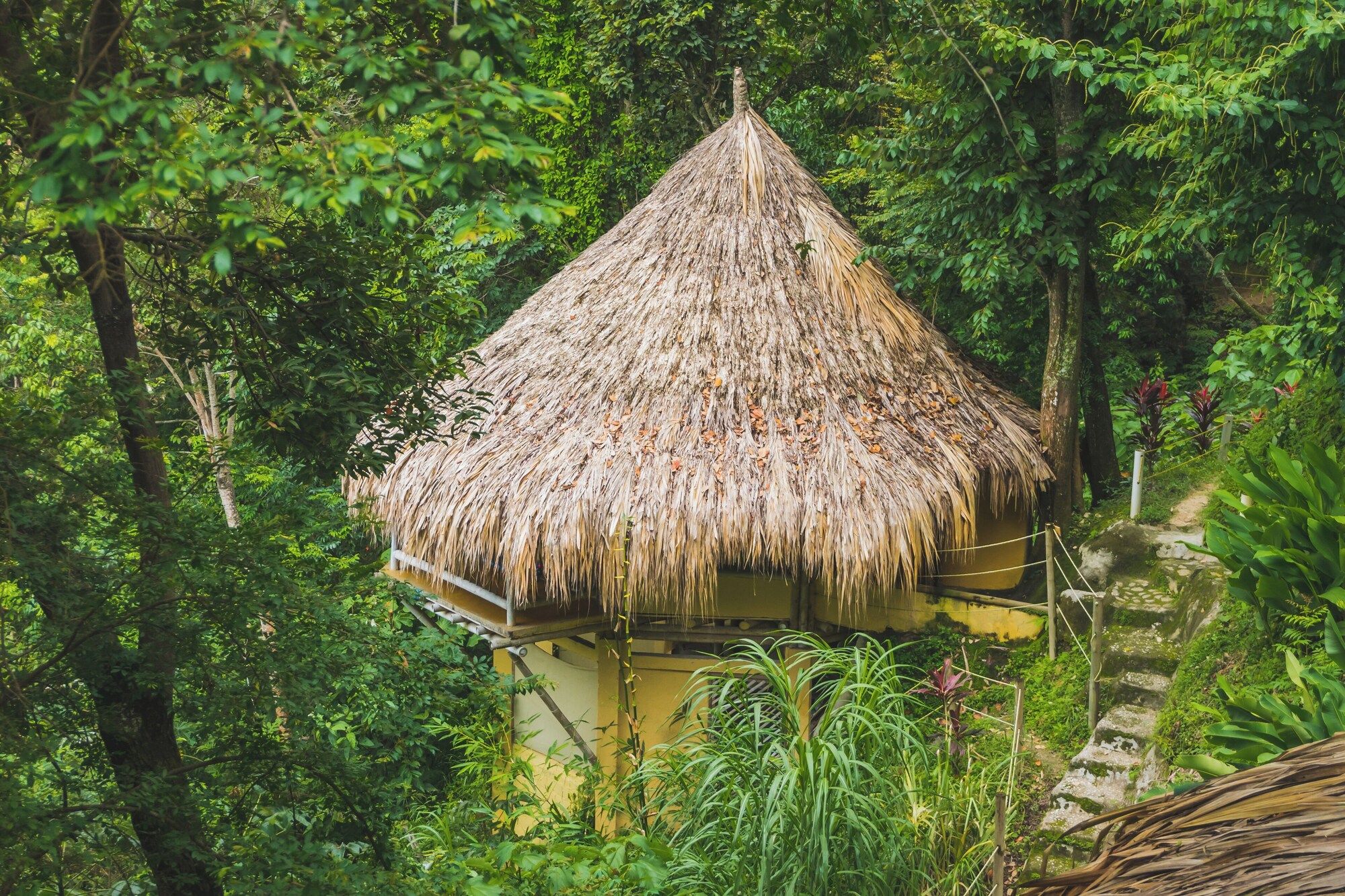 Outdoor view