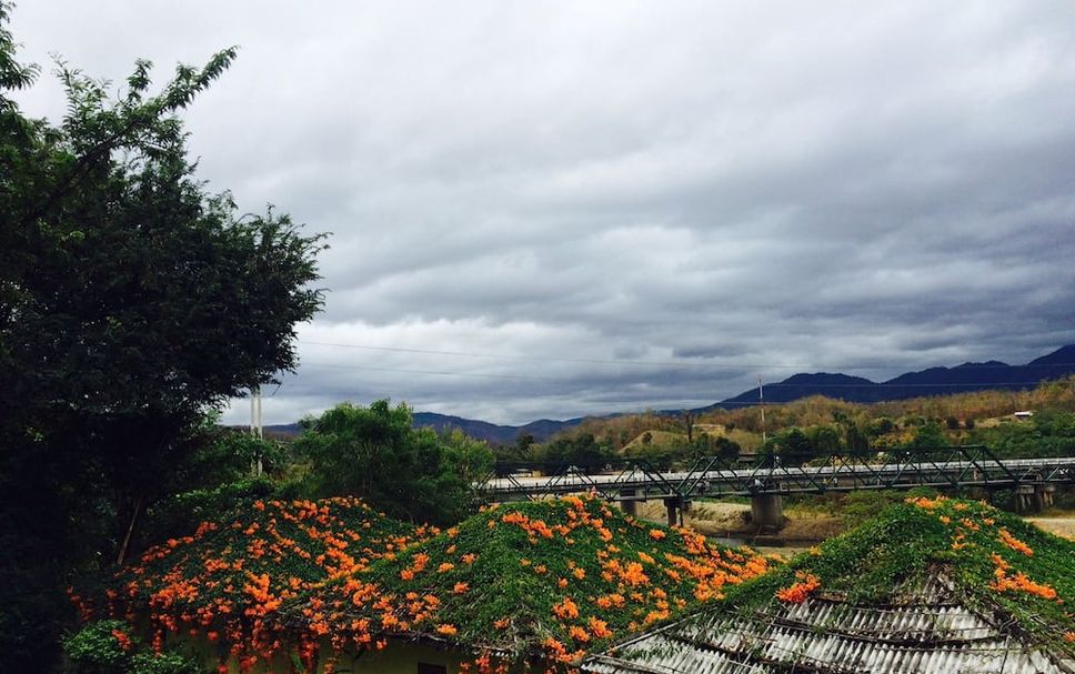 Outdoor view Photo