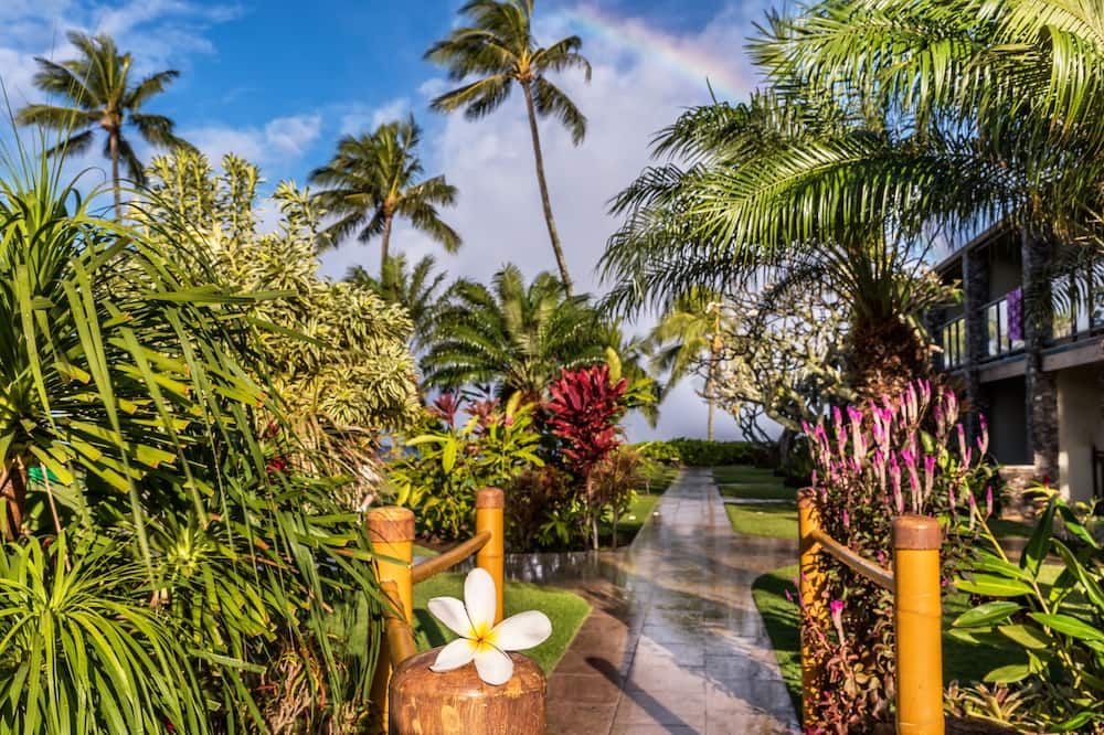 Outdoor view