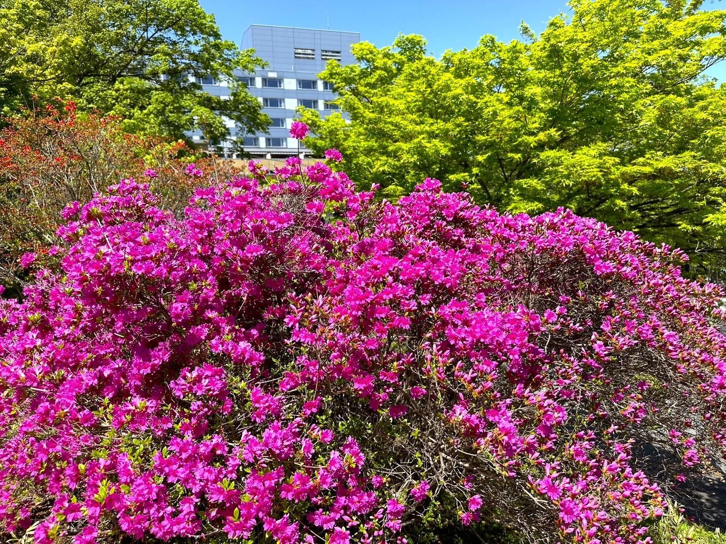 Outdoor view