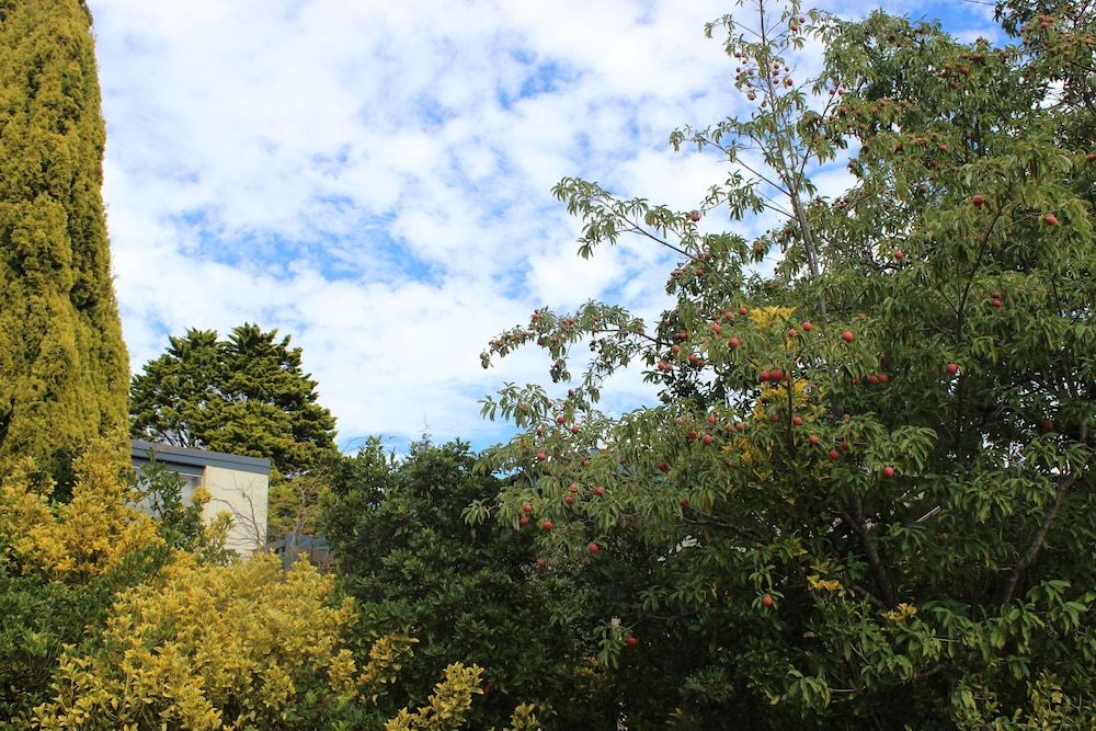 Outdoor view
