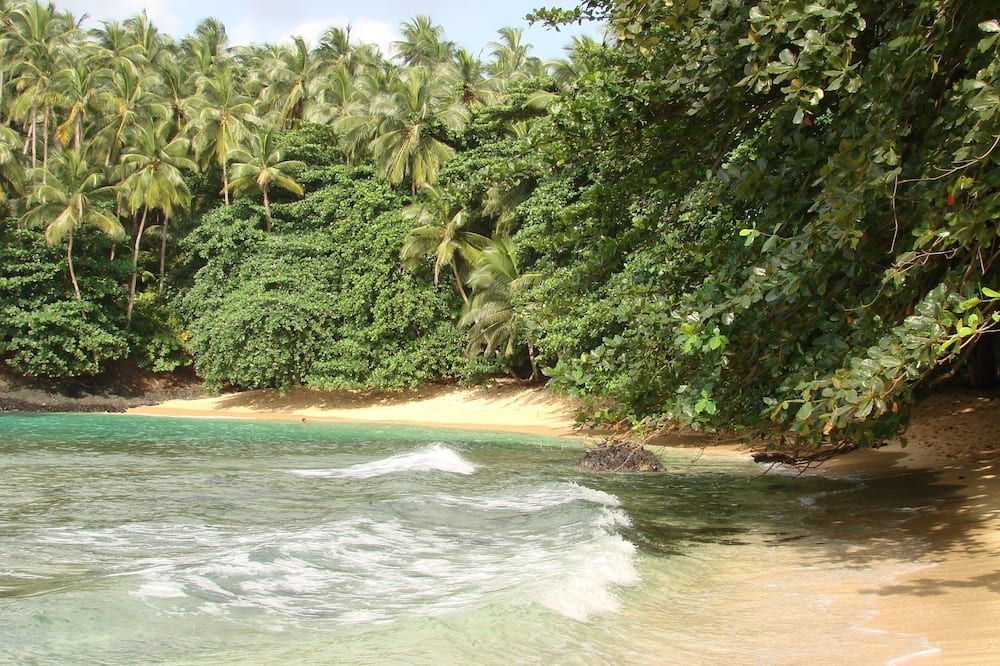 Outdoor view