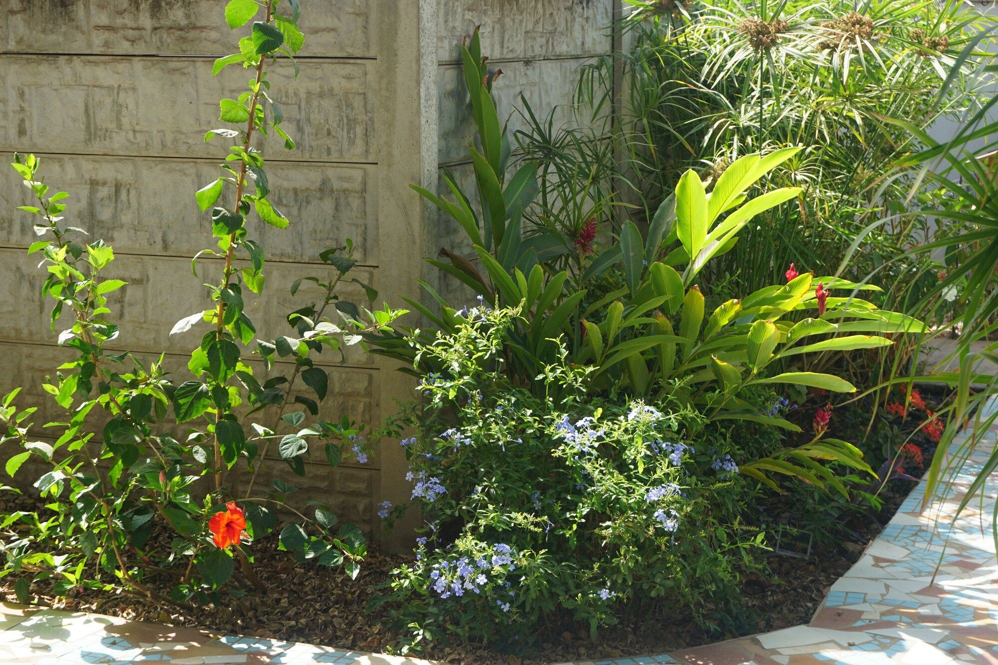 Outdoor view