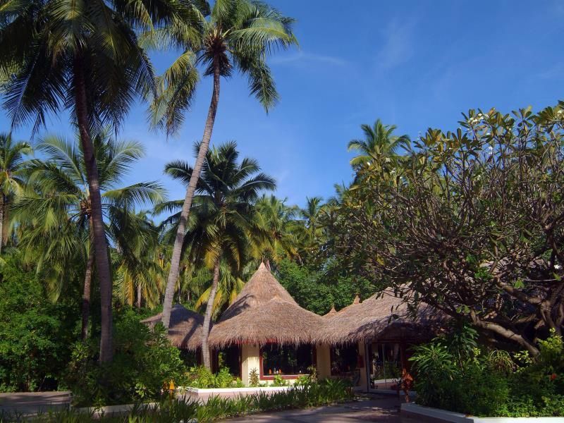 Outdoor view