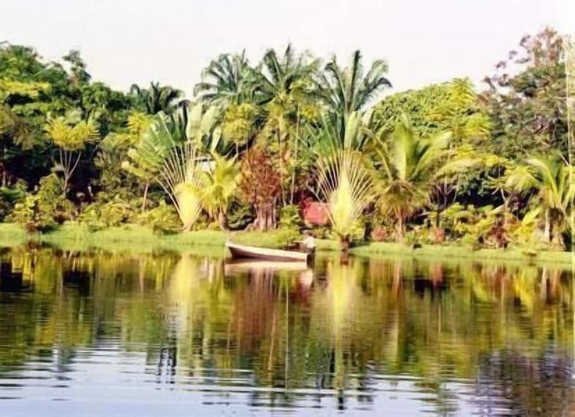 Outdoor view Photo