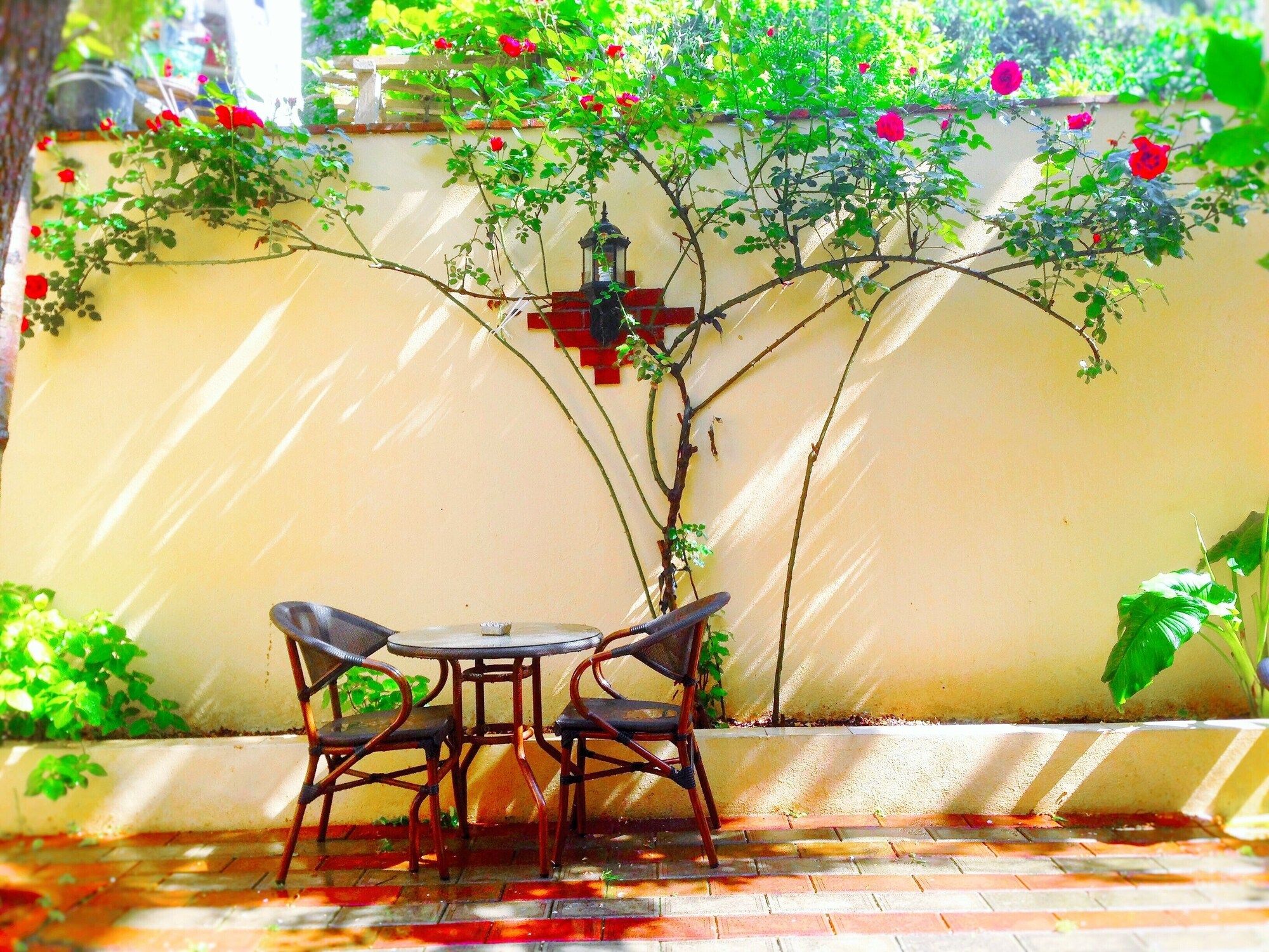 Patio Photo