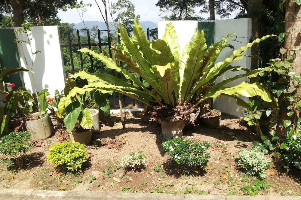 Outdoor view