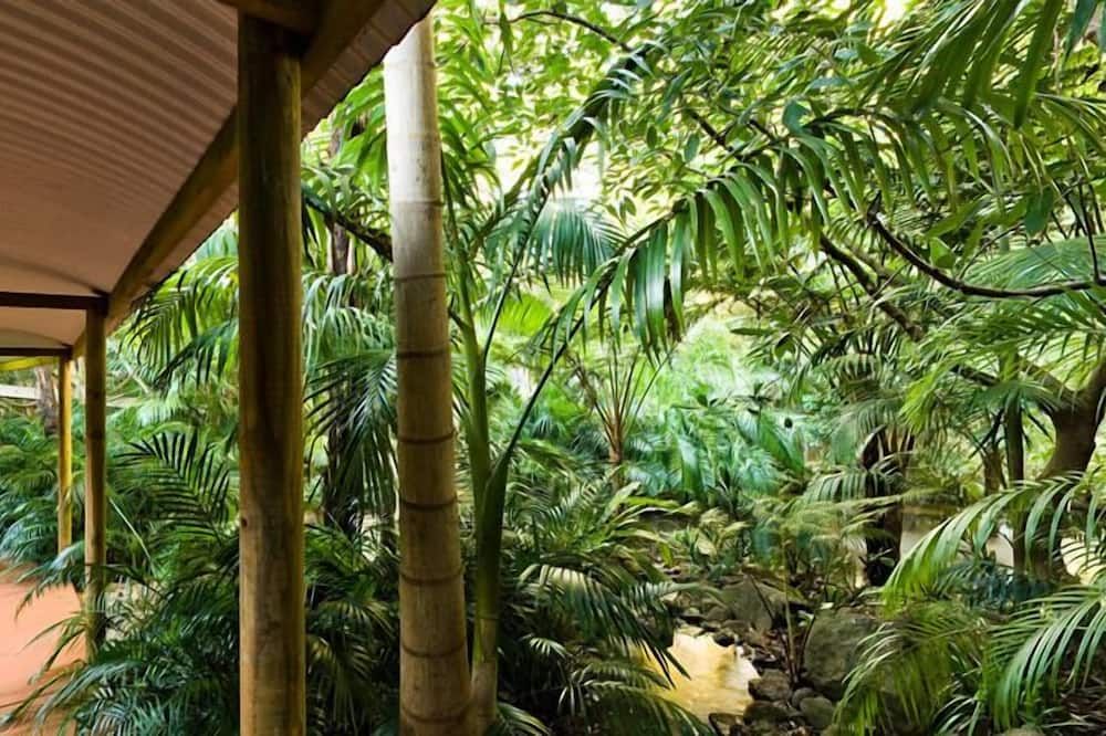 Outdoor view