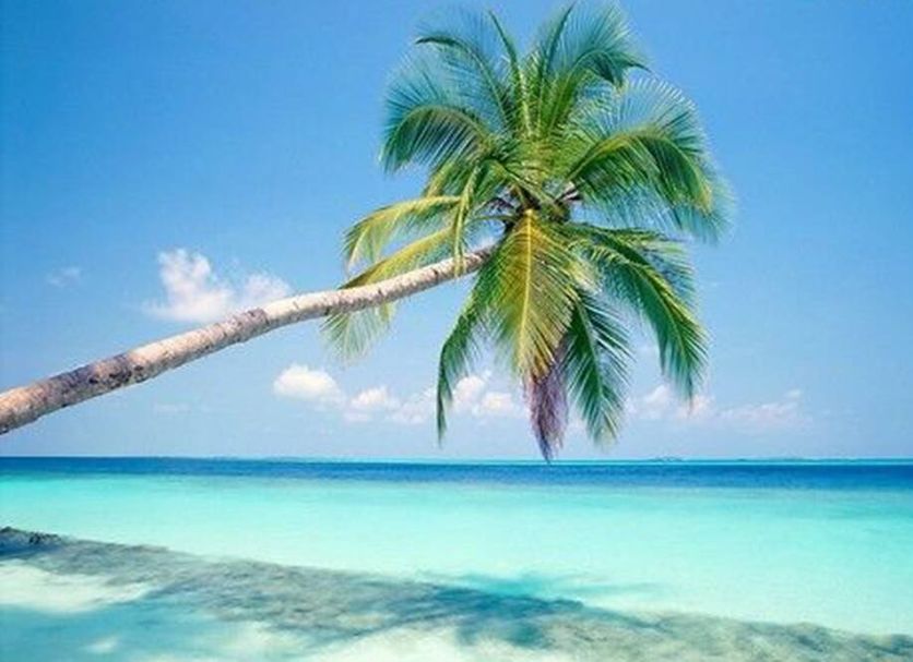 Beach Photo