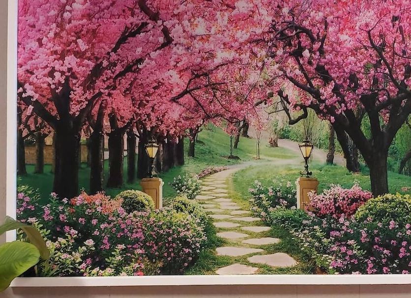 Outdoor view Photo