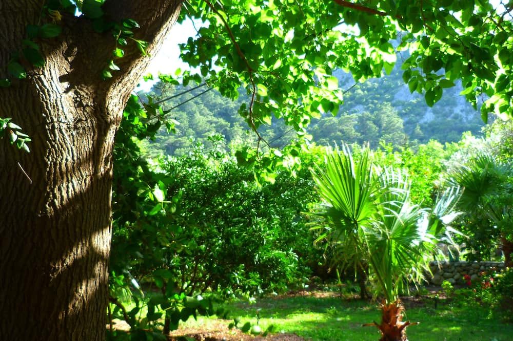 Outdoor view