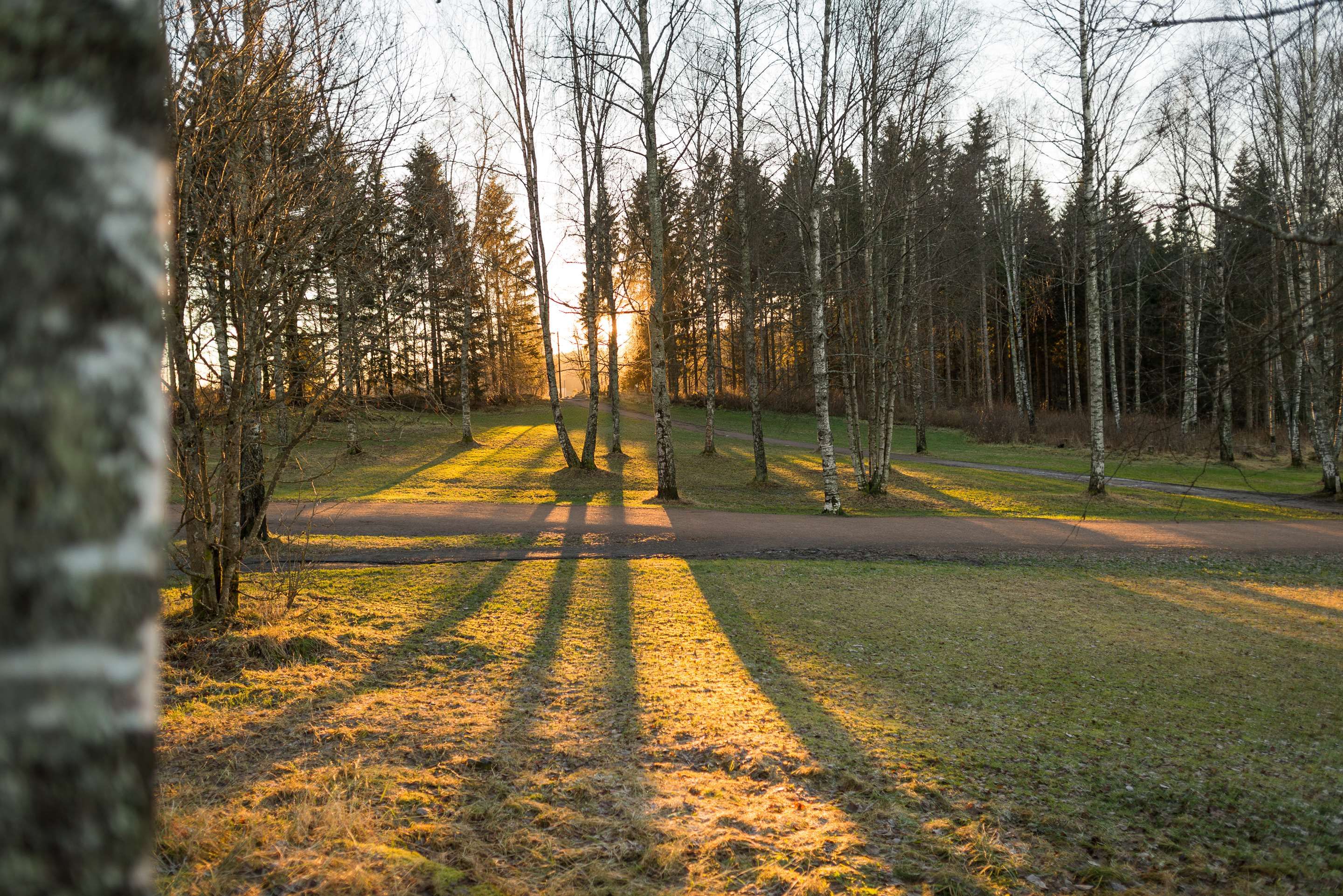 Outdoor view