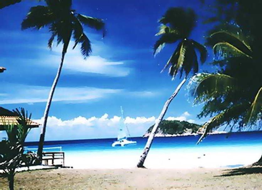 Beach Photo