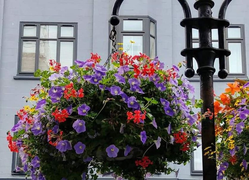 Outdoor view Photo