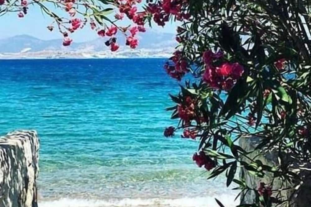 Outdoor view