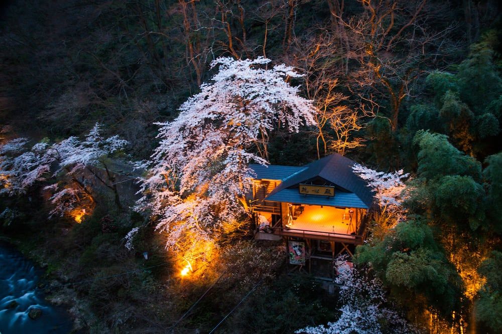 Outdoor view