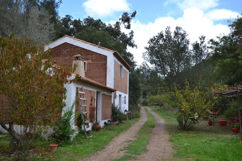 Outdoor view