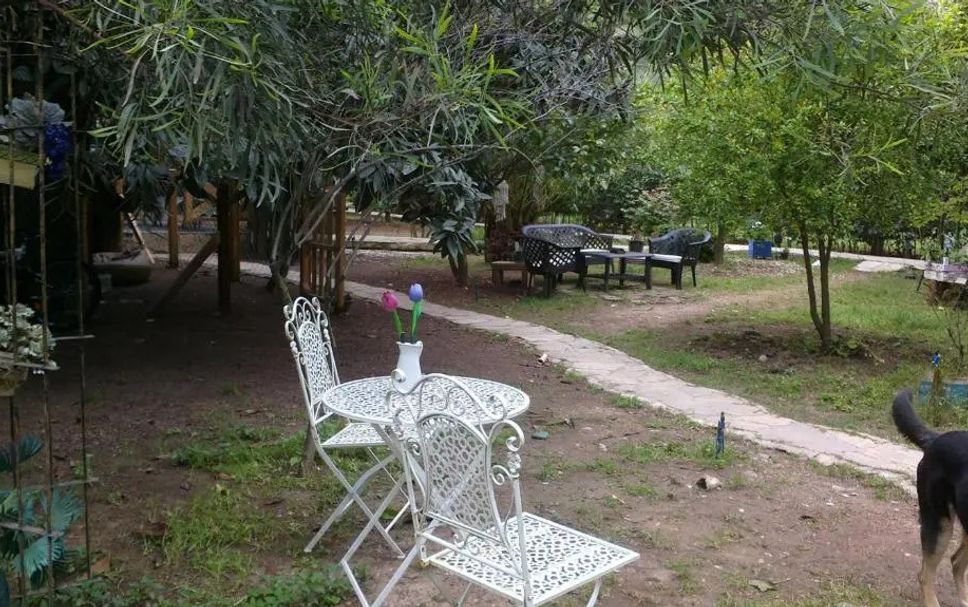 Patio Photo