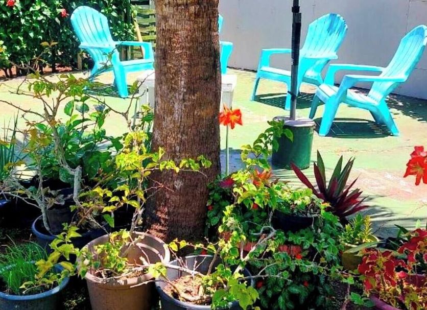 Patio Photo