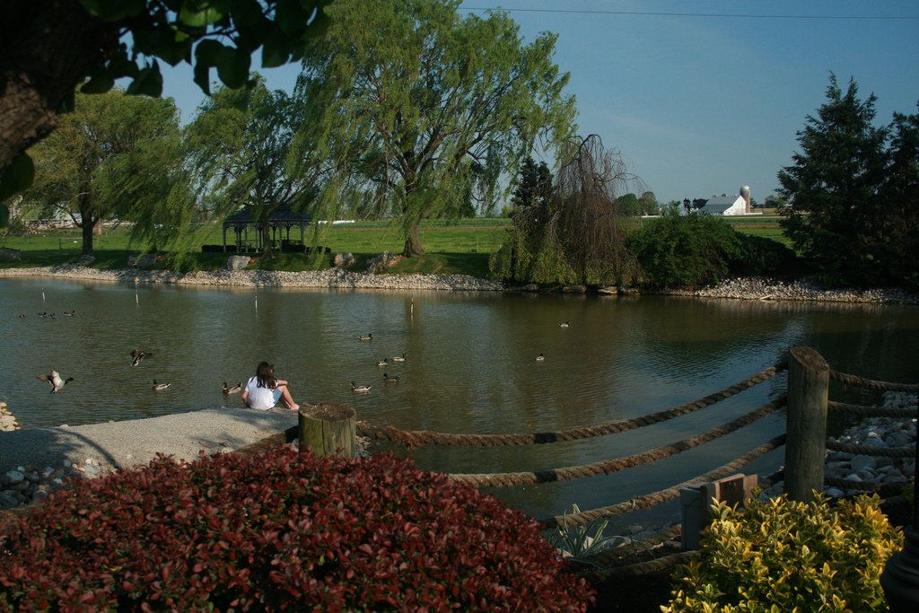Outdoor view