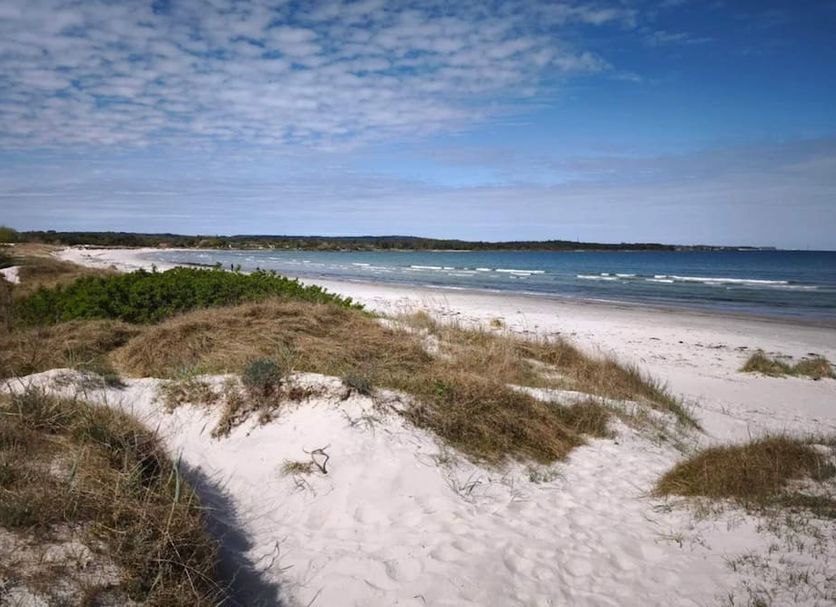 Beach Photo