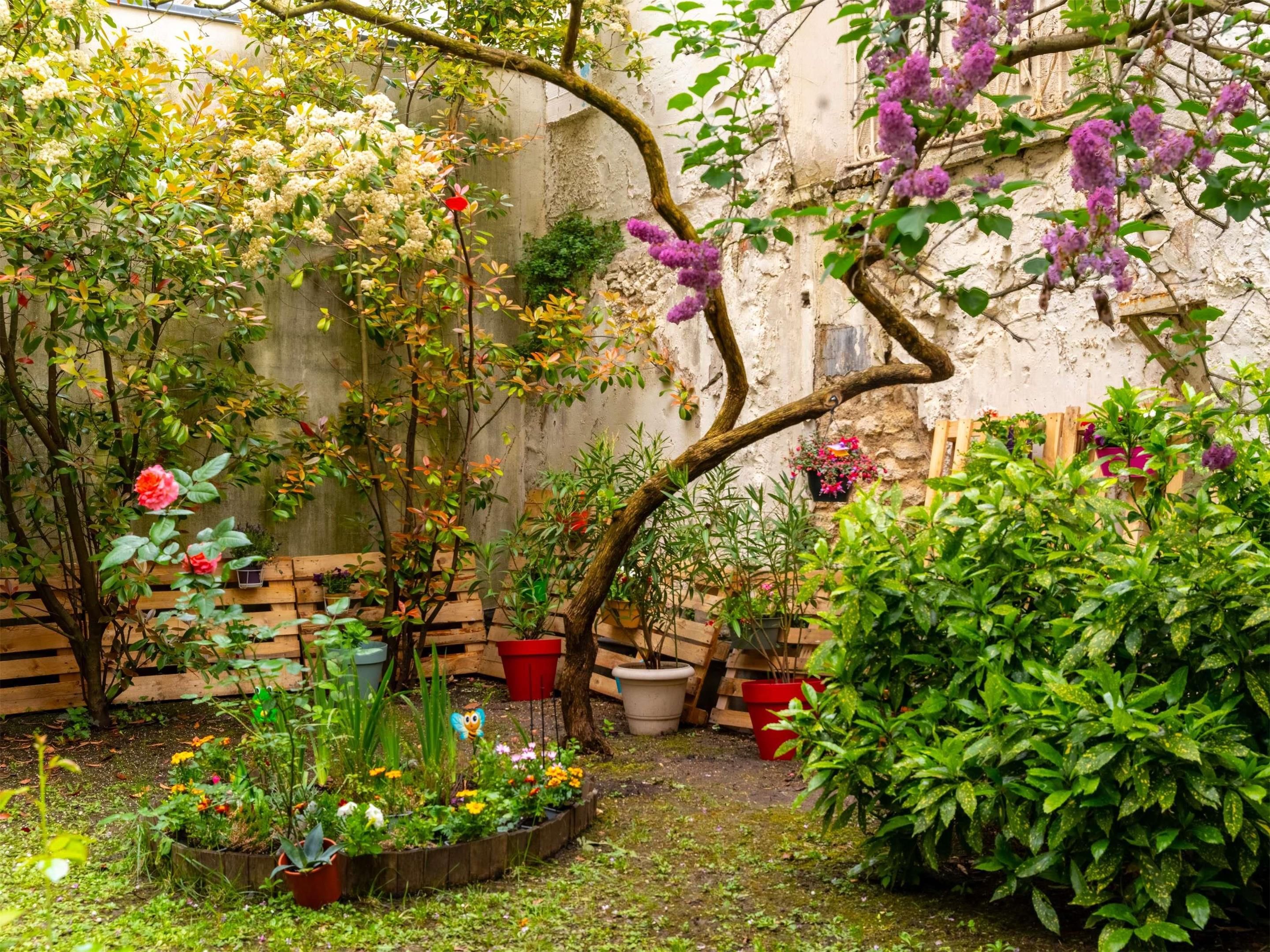 Outdoor view