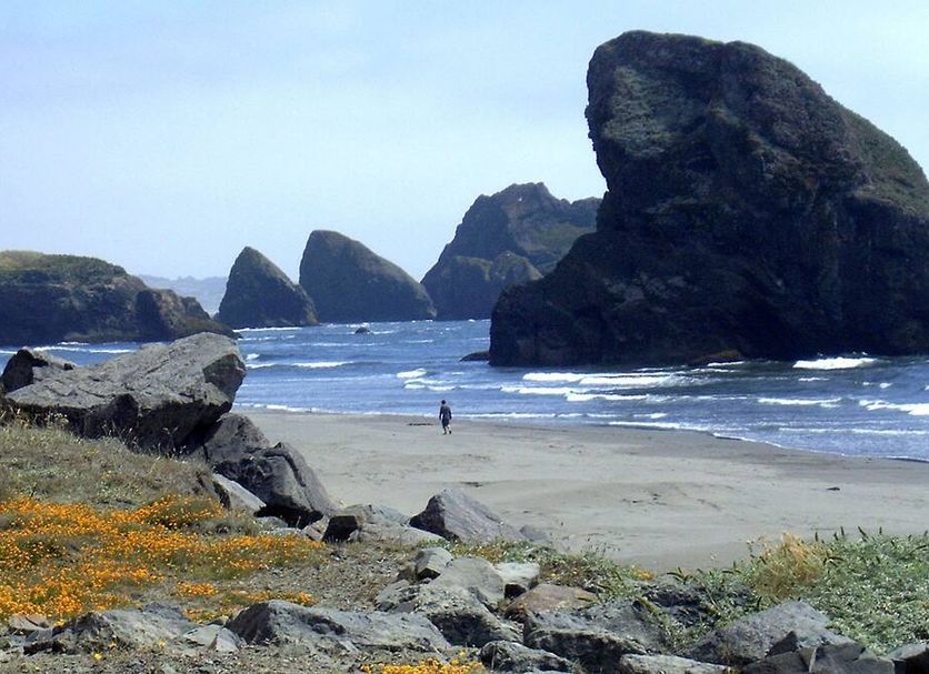 Beach Photo