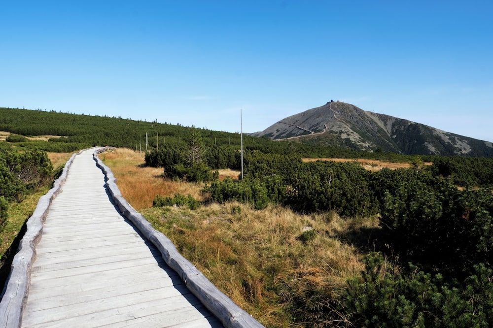 Outdoor view