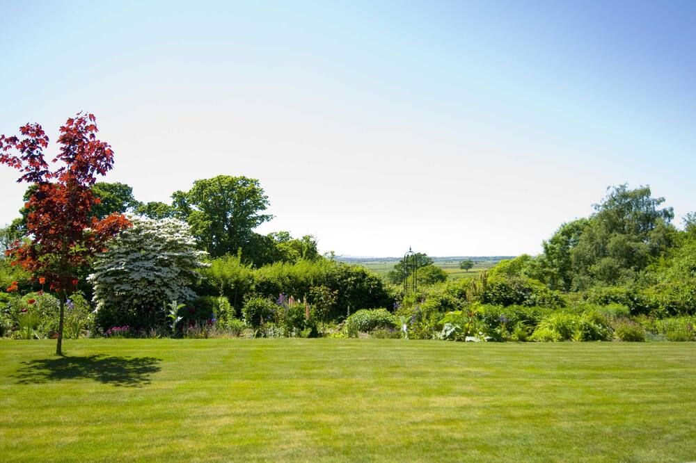 Outdoor view