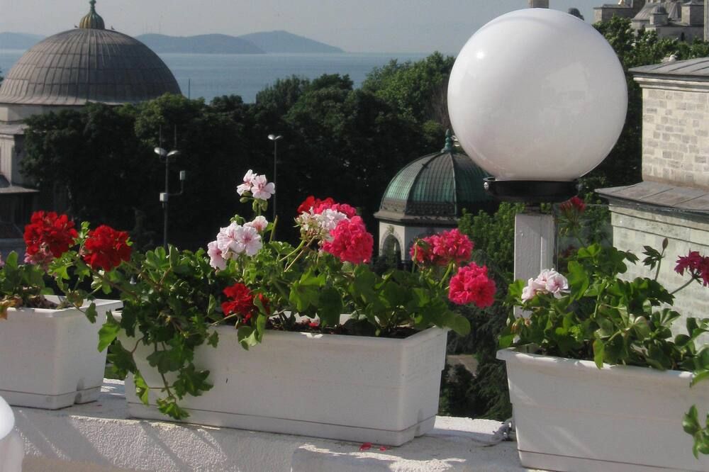 Outdoor view