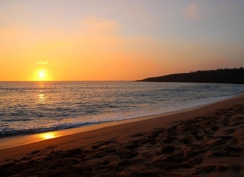 Beach Photo