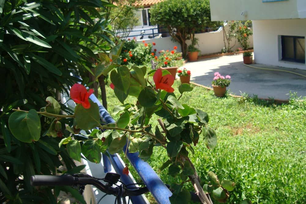 Outdoor view